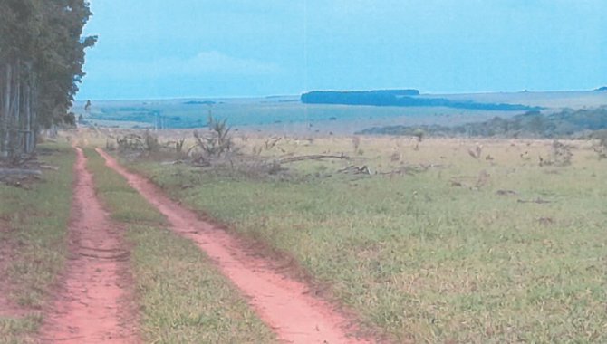 Foto - Fazenda Retiro da Ilha 121.83 ha - Ponta Porã - MS - [2]