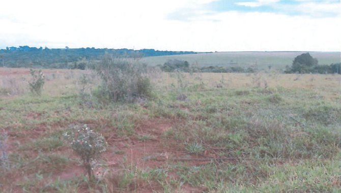 Foto - Fazenda Retiro da Ilha 121.83 ha - Ponta Porã - MS - [9]