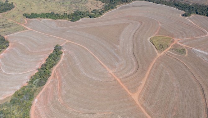 Foto - UPI Casa Branca 9 - Boa Vista - Fazenda Boa Vista 194 ha - [8]