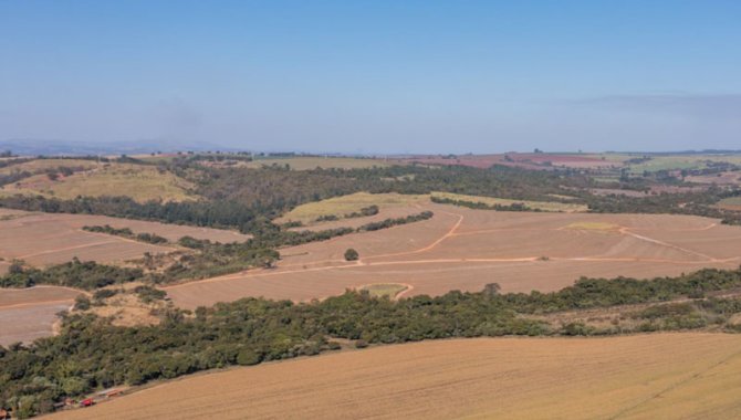 Foto - UPI Casa Branca 9 - Boa Vista - Fazenda Boa Vista 194 ha - [2]