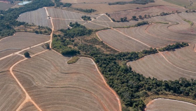 Foto - UPI Casa Branca 9 - Boa Vista - Fazenda Boa Vista 194 ha - [7]