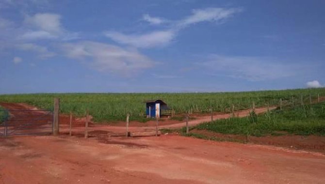 Foto - UPI Capitão - Fazenda Capitão 204 ha - Guaranésia - MG - [3]