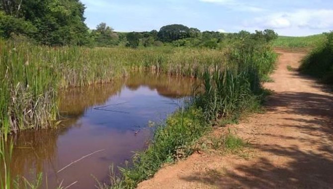 Foto - UPI Capitão - Fazenda Capitão 204 ha - Guaranésia - MG - [6]