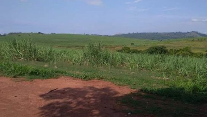 Foto - UPI Capitão - Fazenda Capitão 204 ha - Guaranésia - MG - [5]