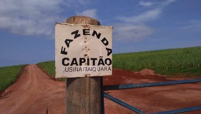 Foto - UPI Capitão - Fazenda Capitão 204 ha - Guaranésia - MG - [2]