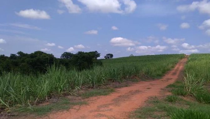 Foto - UPI Santo Antônio Can Can - Fazenda Santo Antônio 74 ha - Caconde e Tapiratiba - SP - [3]