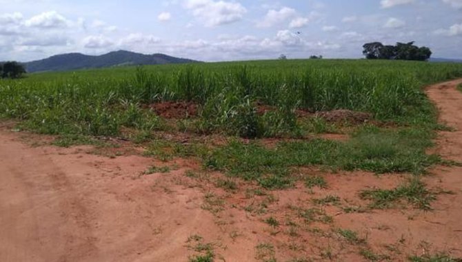 Foto - UPI Santo Antônio Can Can - Fazenda Santo Antônio 74 ha - Caconde e Tapiratiba - SP - [2]