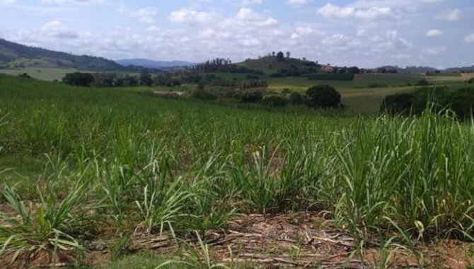 Foto - UPI Santo Antônio Can Can - Fazenda Santo Antônio 74 ha - Caconde e Tapiratiba - SP - [4]