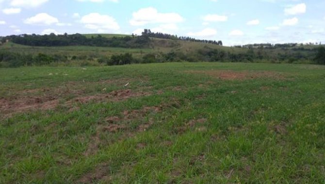 Foto - UPI Santo Antônio Can Can - Fazenda Santo Antônio 74 ha - Caconde e Tapiratiba - SP - [7]