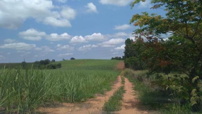 Foto - UPI Santo Antônio Can Can - Fazenda Santo Antônio 74 ha - Caconde e Tapiratiba - SP - [6]