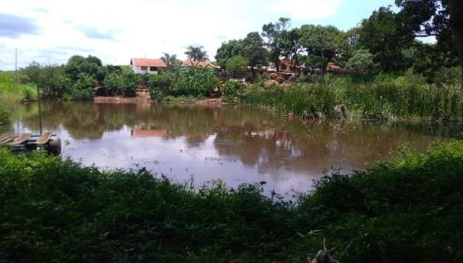 Foto - UPI Soledade Conceição - Fazenda Soledade e Conceição 261 ha - Tapiratiba - SP - [4]