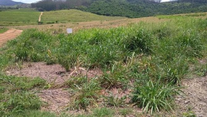 Foto - UPI Soledade Conceição - Fazenda Soledade e Conceição 261 ha - Tapiratiba - SP - [7]