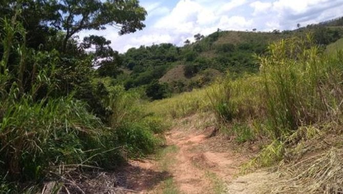 Foto - UPI Soledade Conceição - Fazenda Soledade e Conceição 261 ha - Tapiratiba - SP - [9]