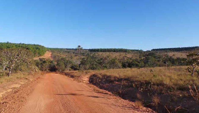 Foto - Fazenda 2.015 ha - Bocaína - Arinos - MG - [2]