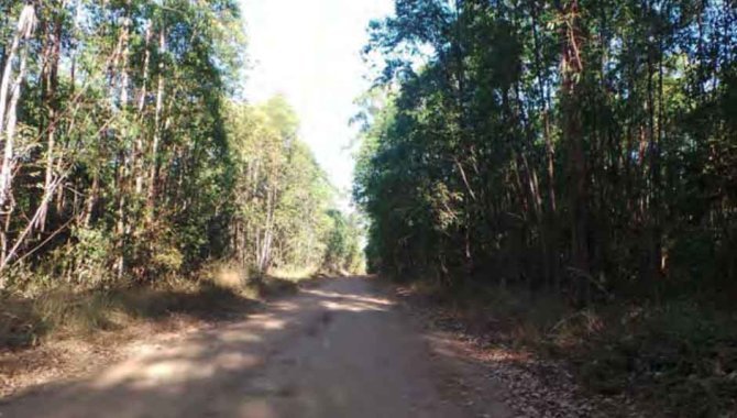 Foto - Fazenda 2.015 ha - Bocaína - Arinos - MG - [2]