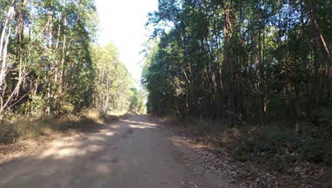 Foto - Fazenda 2.015 ha - Bocaína - Arinos - MG - [3]