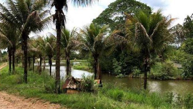 Foto - Imóvel Rural 31 ha - Santa Rosa de Viterbo - SP e Bens Diversos - [11]