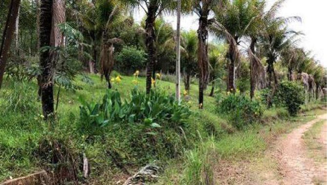 Foto - Imóvel Rural 31 ha - Santa Rosa de Viterbo - SP e Bens de Diversas Categorias - [9]