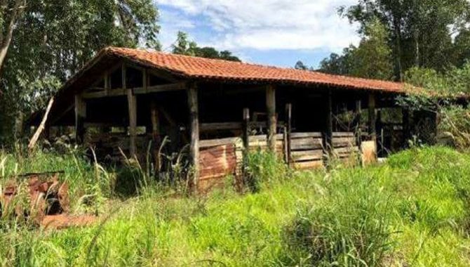 Foto - Imóvel Rural 31 ha - Santa Rosa de Viterbo - SP e Bens Diversos - [20]