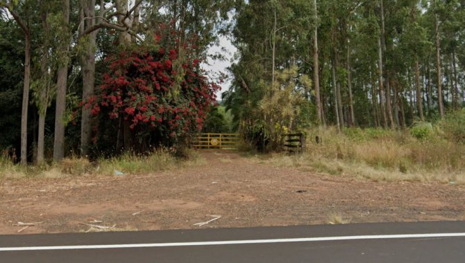 Foto - Imóvel Rural 31 ha - Santa Rosa de Viterbo/SP e Bens Diversos - [2]