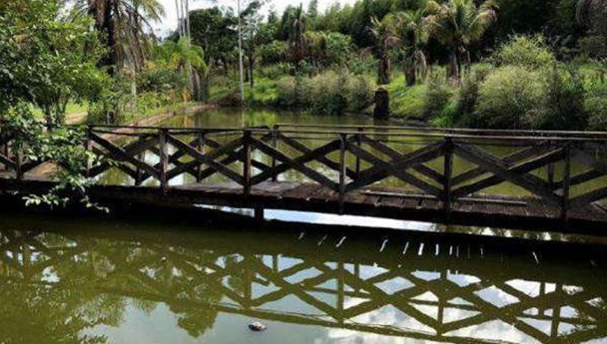 Foto - Imóvel Rural 31 ha - Santa Rosa de Viterbo - SP e Bens de Diversas Categorias - [12]