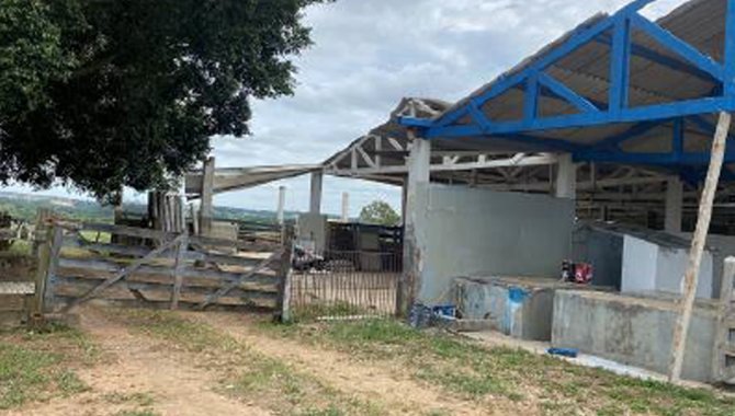 Foto - Fazenda São Benedito 89 ha - Vileta -  Iperó - SP - [19]