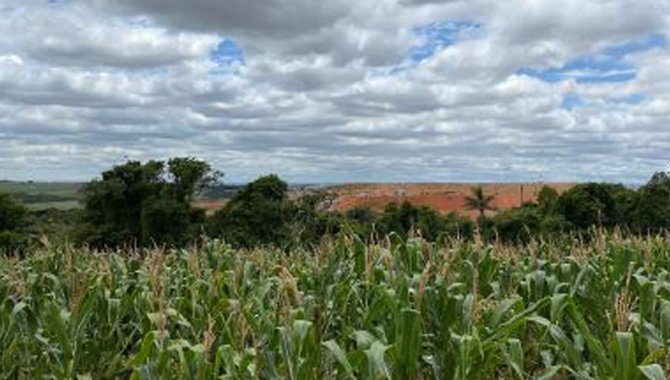 Foto - Fazenda São Benedito 89 ha - Vileta -  Iperó - SP - [24]