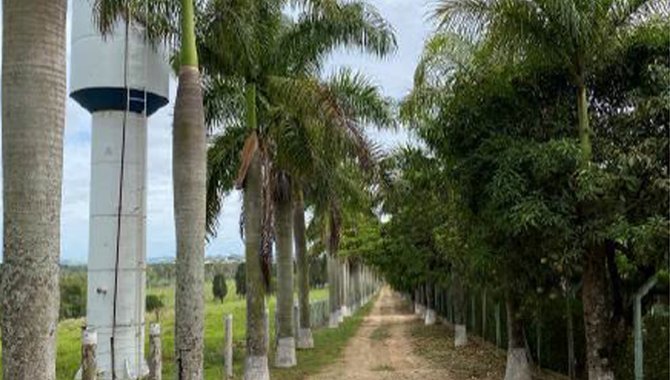 Foto - Fazenda São Benedito 89 ha - Vileta -  Iperó - SP - [2]