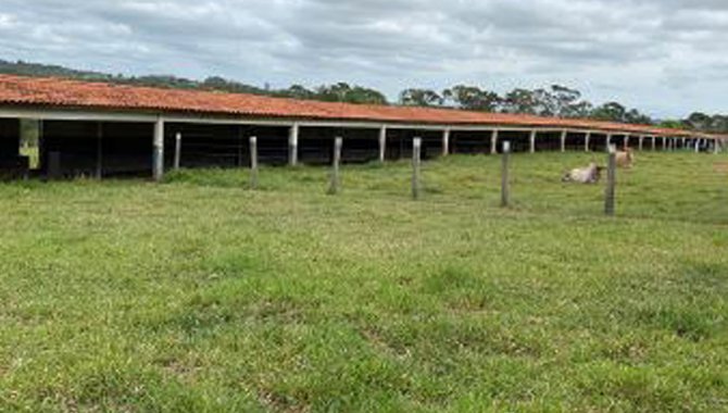 Foto - Fazenda São Benedito 89 ha - Vileta -  Iperó - SP - [16]