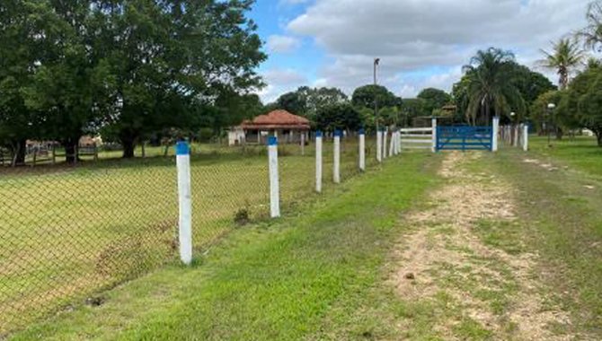 Foto - Fazenda São Benedito 89 ha - Vileta -  Iperó - SP - [15]