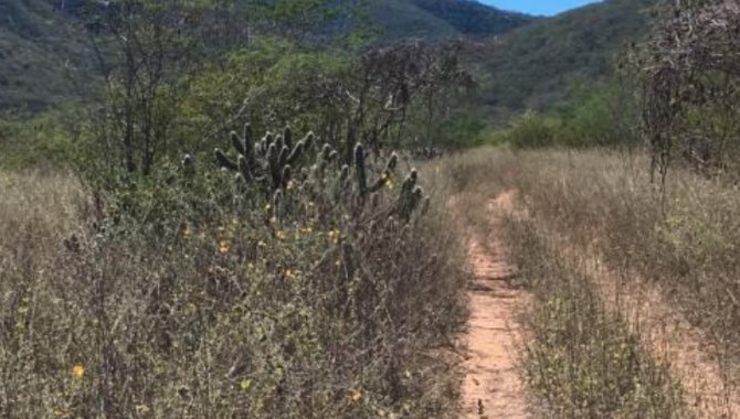 Foto - Fazenda Itapecuru 525 ha - Buíque - PE - [2]