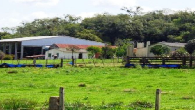 Foto - Imóvel Rural - Piratini-RS - Estrada Piratini-Estância Velha - Chácara do Neto - [1]