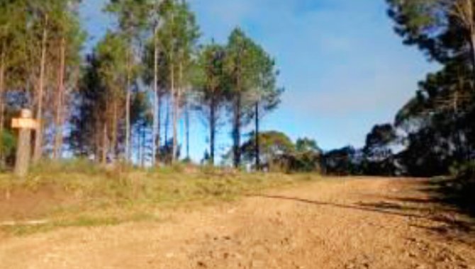 Foto - Fazenda 365,39 Ha - Major Vieira - SC - [1]