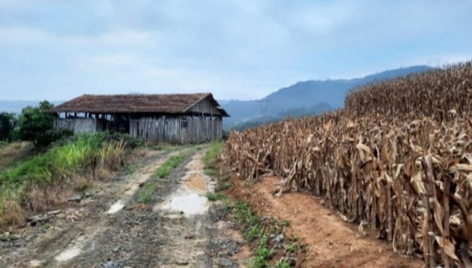 Foto - Área - Leoberto Leal-SC - Estrada Geral Rio Antinha - Zona Rural - [1]