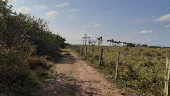 Foto - Área 60.500 m² - Área Rural - Campos dos Goytacazes - RJ - [5]