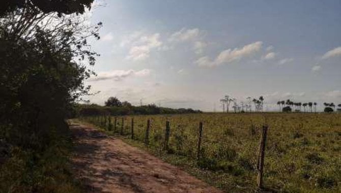 Foto - Área 60.500 m² - Área Rural - Campos dos Goytacazes - RJ - [6]