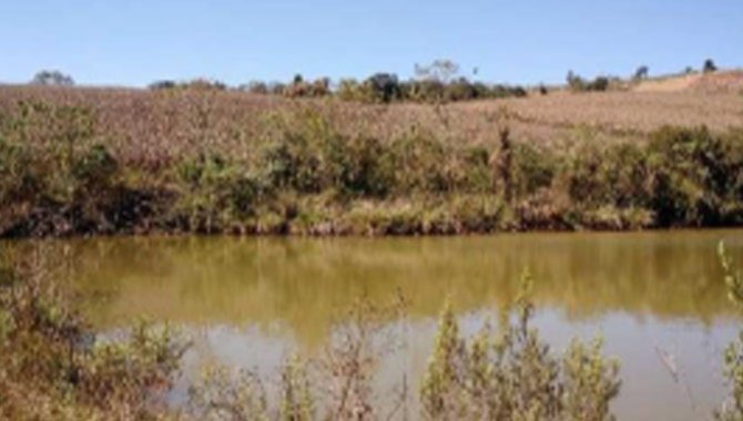 Foto - Direitos sobre Imóvel Rural 65 ha - Ribeirão Fundo - Munhoz - MG - [10]