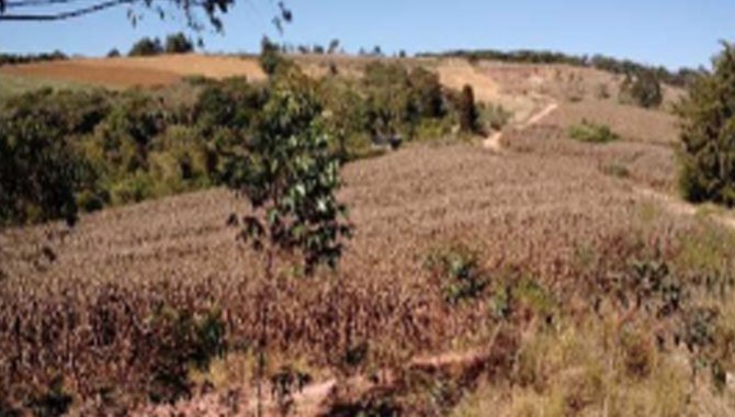 Foto - Direitos sobre Imóvel Rural 65 ha - Ribeirão Fundo - Munhoz - MG - [9]