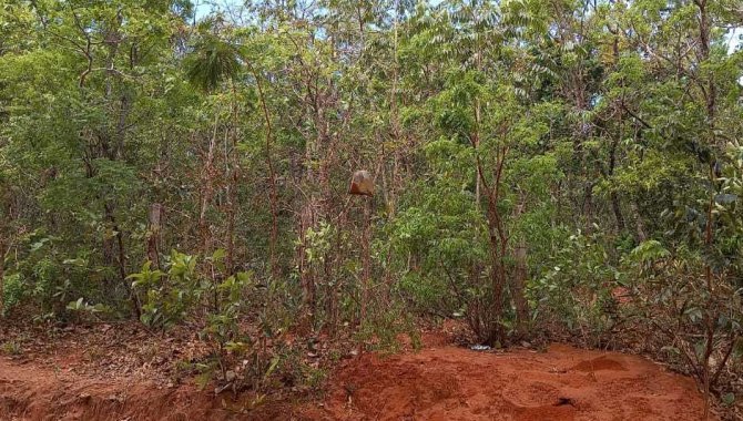 Foto - Chácara 5.000 m² - Loteamento Chácara dos Poderes - Campo Grande - MS - [2]