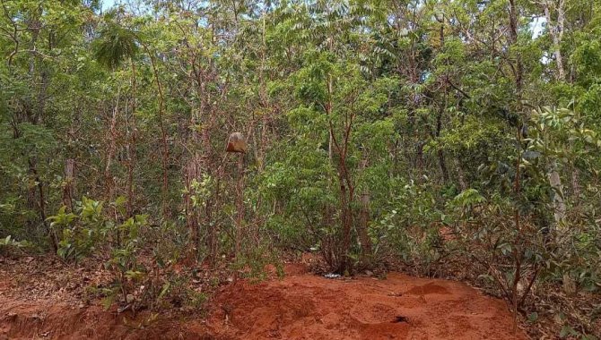 Foto - Chácara 5.000 m² - Loteamento Chácara dos Poderes - Campo Grande - MS - [4]