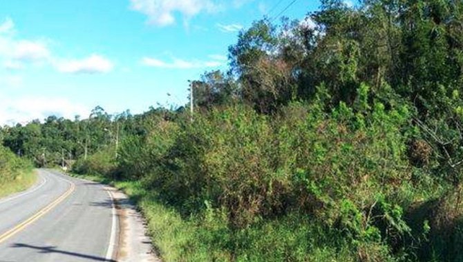 Foto - Área Rural - Nova Veneza-SC - Rodovia SC-443, Km 55 - 501.972 m² - São Bonifácio - [1]