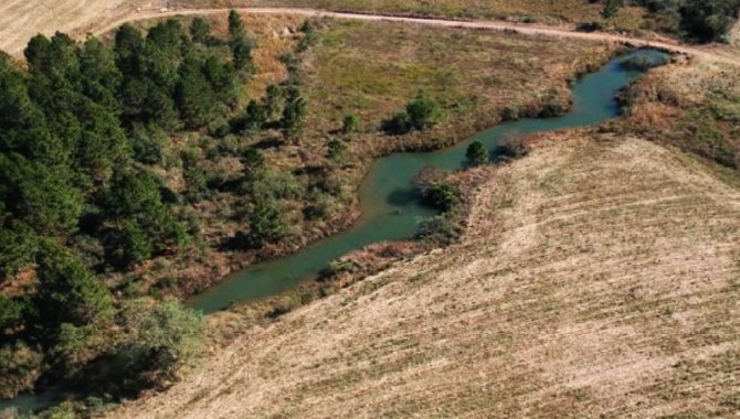 Foto - Área de 81 ha - Fazenda Santa Clara - Ribeirão Grande - SP - [10]