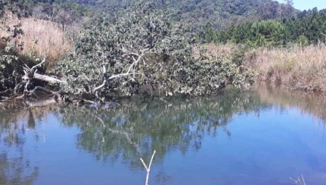 Foto - Área de 81 ha - Fazenda Santa Clara - Ribeirão Grande - SP - [6]