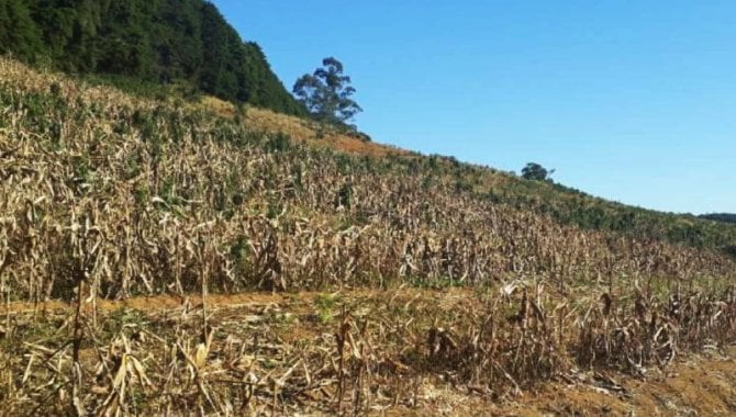 Foto - Área de 81 ha - Fazenda Santa Clara - Ribeirão Grande - SP - [9]