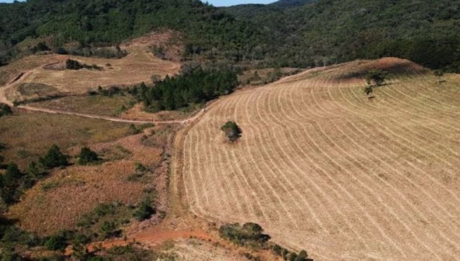 Foto - Área de 81 ha - Fazenda Santa Clara - Ribeirão Grande - SP - [3]