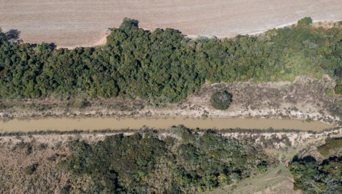 Foto - UPI Casa Branca 9 - Boa Vista - Fazenda Boa Vista 194 ha - [4]