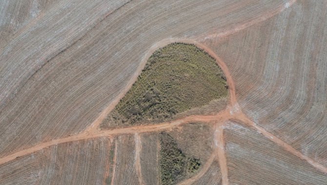 Foto - UPI Casa Branca 9 - Boa Vista - Fazenda Boa Vista 194 ha - [6]