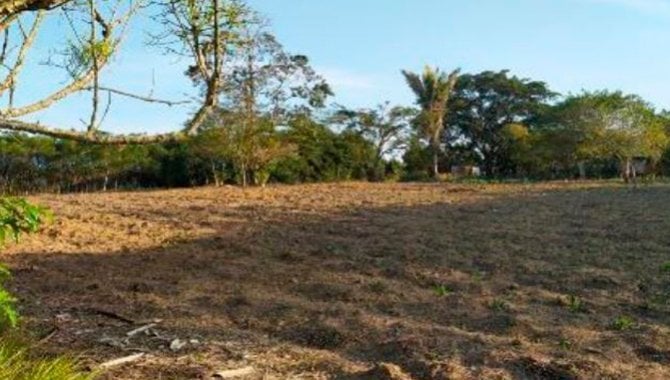 Foto - Terreno - Ibirapuã-BA - Sítio Sagrada Família - Planalto - [11]