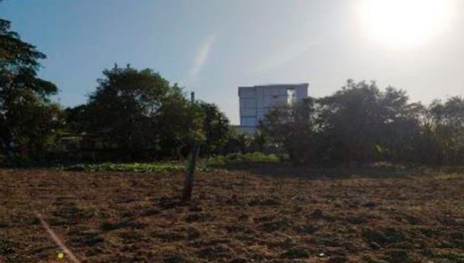 Foto - Terreno - Ibirapuã-BA - Sítio Sagrada Família - Planalto - [9]