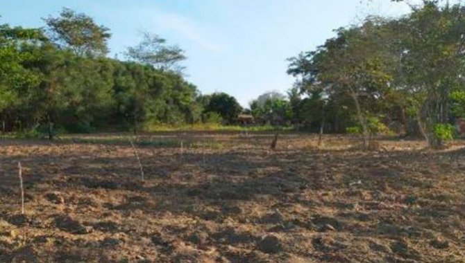 Foto - Terreno - Ibirapuã-BA - Sítio Sagrada Família - Planalto - [4]